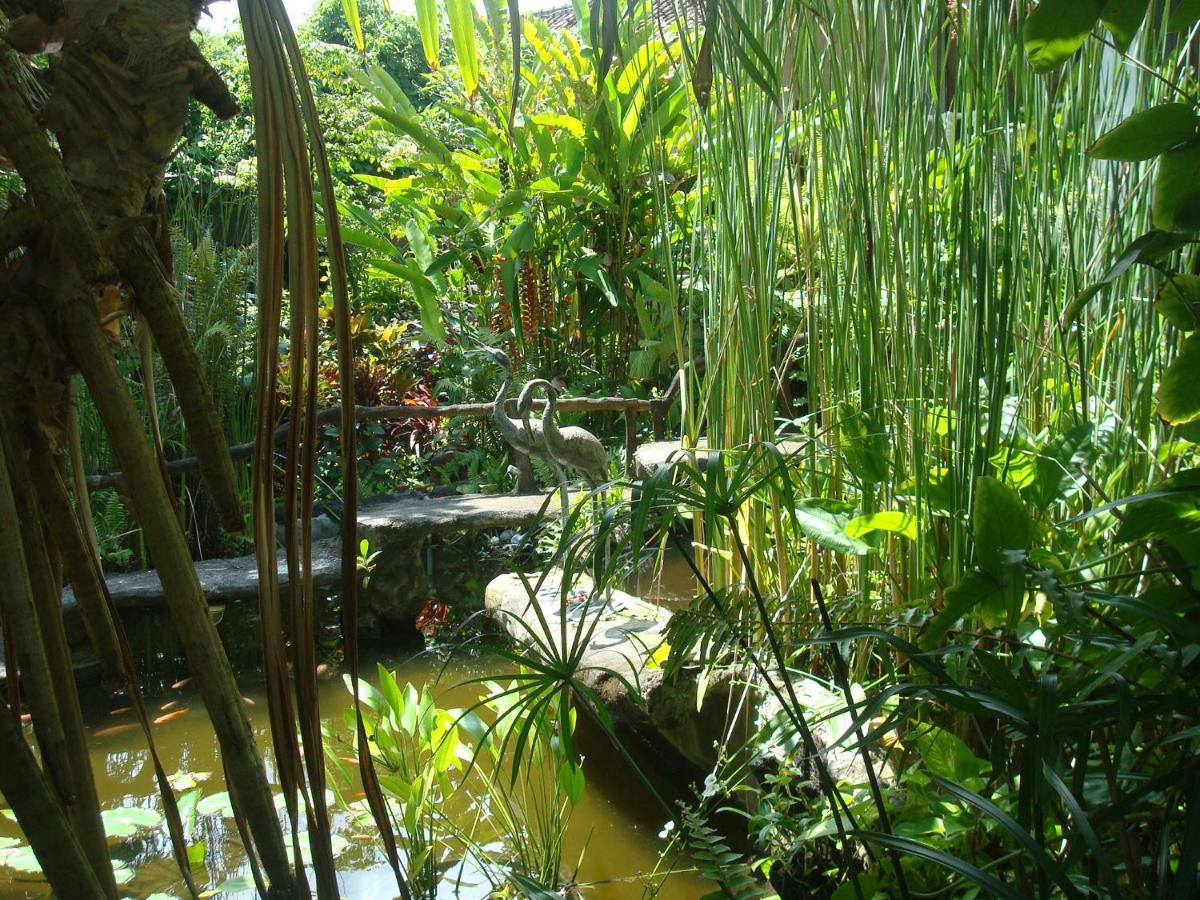 Villa Arjuna Seraya Bagian luar foto