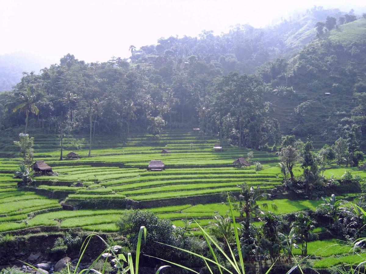 Villa Arjuna Seraya Bagian luar foto